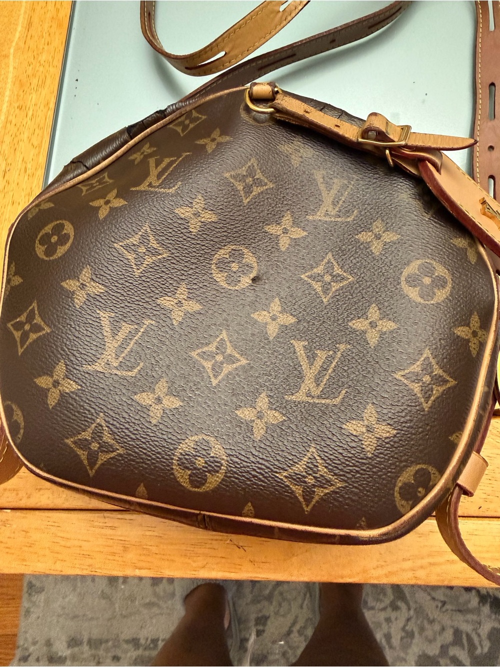 Louis Vuitton Monogram Canvas Crossbody in Brown and Tan